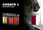 Scented Card - Peppermint
